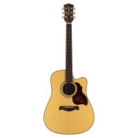 RICHWOOD D-265-CVA All Solid Master Series custom shop