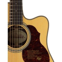RICHWOOD D-265-CVA All Solid Master Series custom shop