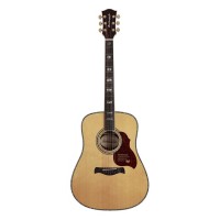 RICHWOOD D-270-VA All Solid Master Series custom shop