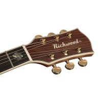 RICHWOOD D-270-VA All Solid Master Series custom shop