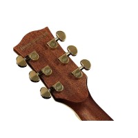 RICHWOOD D-270-VA All Solid Master Series custom shop