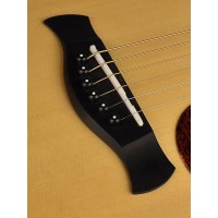 RICHWOOD D-270-VA All Solid Master Series custom shop