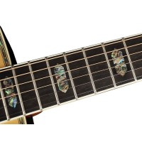 RICHWOOD D-270-VA All Solid Master Series custom shop