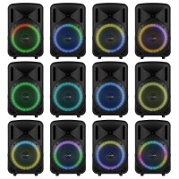 FENTON FT08LED MK2 300W Bluetooth Prenosni Karaoke Zvočnik