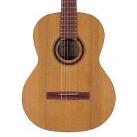 KREMONA GREEN GLOBE GG65C Klasična kitara