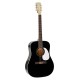 RICHWOOD HSD55BK Heritage Akustična kitara
