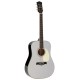 RICHWOOD HSD55GS Heritage Akustična kitara