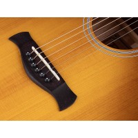 RICHWOOD HSDS-42-HB HERITAGE Akustična kitara