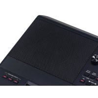MEDELI AKX10S PRO ARRANGER Workstation