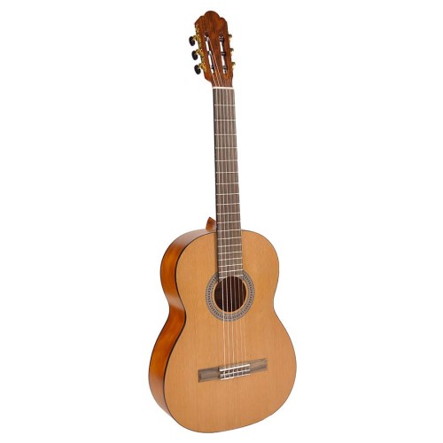 SALVADOR CS-244 Klasična kitara klasične kitare celinka