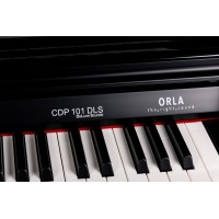 ORLA CDP101 DLS/RW Digitalni električni klavir klavirji piano