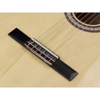 SALVADOR CG-144-NT Klasična kitara klasične kitare celinka