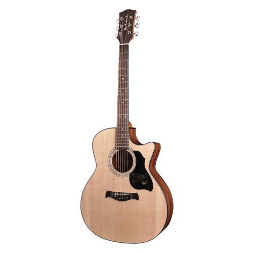 RICHWOOD G-40-CE MASTER Akustična Kitara Kitare