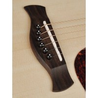 RICHWOOD D-20 MASTER Akustična Kitara Kitare