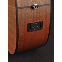RICHWOOD D-20-E MASTER Akustična Kitara Kitare