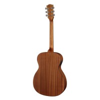 RICHWOOD A-20-E MASTER Akustična Kitara