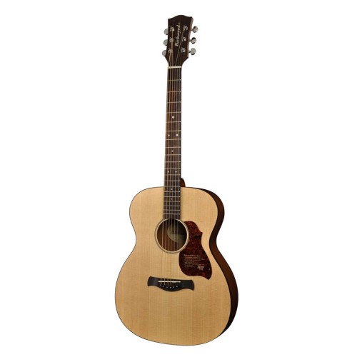 RICHWOOD A-20-E MASTER Akustična Kitara