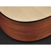 RICHWOOD D-20-E MASTER Akustična Kitara Kitare