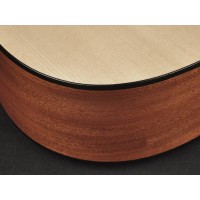 RICHWOOD D-20 MASTER Akustična Kitara Kitare