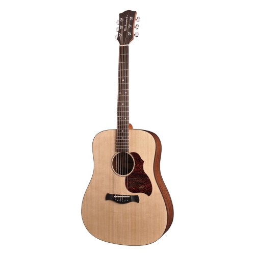 RICHWOOD D-20 MASTER Akustična Kitara Kitare