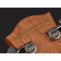 RICHWOOD D-20-E MASTER Akustična Kitara Kitare