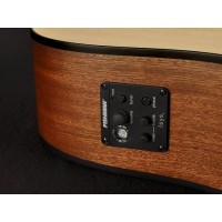 RICHWOOD G-20-CE MASTER Akustična kitara 
