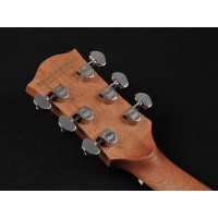 RICHWOOD D-20-E MASTER Akustična Kitara Kitare