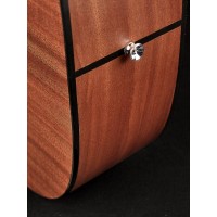 RICHWOOD D-20 MASTER Akustična Kitara Kitare