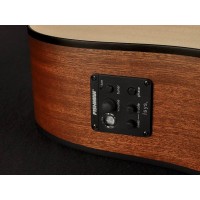 RICHWOOD D-20-E MASTER Akustična Kitara Kitare