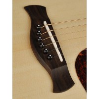 RICHWOOD G-20-CE MASTER Akustična kitara 