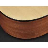 RICHWOOD G-20-CE MASTER Akustična kitara 