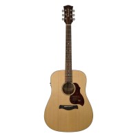 RICHWOOD D-20-E MASTER Akustična Kitara Kitare