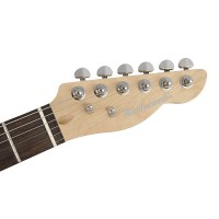 RICHWOOD MASTER REG-375 Električna kitara električne kitare