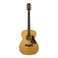 RICHWOOD A-70-EVA MASTER Akustična kitara
