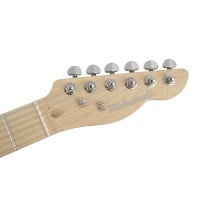 RICHWOOD MASTER REG-360-2SB Električna kitara električne kitare