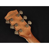 RICHWOOD A-70-EVA MASTER Akustična kitara