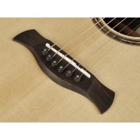 RICHWOOD SWG-150-CE MASTER Akustična kitara akustične kitare