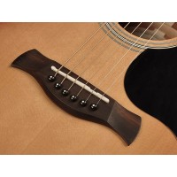 RICHWOOD G-40-CESB MASTER Akustična kitara akustične kitare
