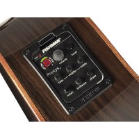 RICHWOOD SWG-130-CE MASTER Akustična kitara akustične kitare