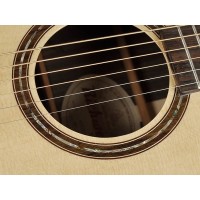 RICHWOOD SWG-130-CE MASTER Akustična kitara akustične kitare
