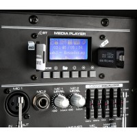 VONYX SPJ-PA915 Prenosno ozvočenje zvočnik