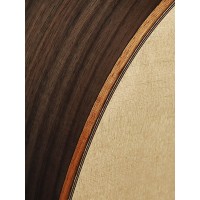 RICHWOOD SWG-130-CE MASTER Akustična kitara akustične kitare