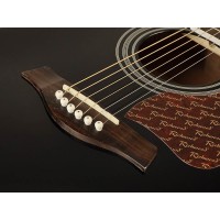 RICHWOOD RD-17-CEBK ARTIST Akustična kitara akustične kitare