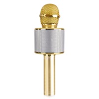 MAX KM01 GOLD Karaoke mikrofon mikrofoni z zvočnikom
