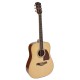 RICHWOOD RD-17 Akustična kitara