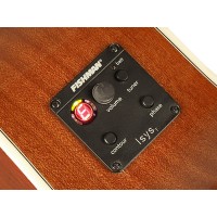 RICHWOOD ARTIST RJ-17-CE Elektro akustična Jumbo kitara