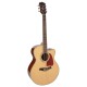RICHWOOD ARTIST RJ-17-CE Elektro akustična Jumbo kitara