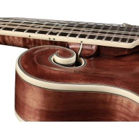 RICHWOOD RMF-220-WN Master Series mandolina