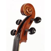 RUDOLPH RC-1044 Violončelo 4/4