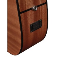 RICHWOOD D-40-CE MASTER Akustična kitara